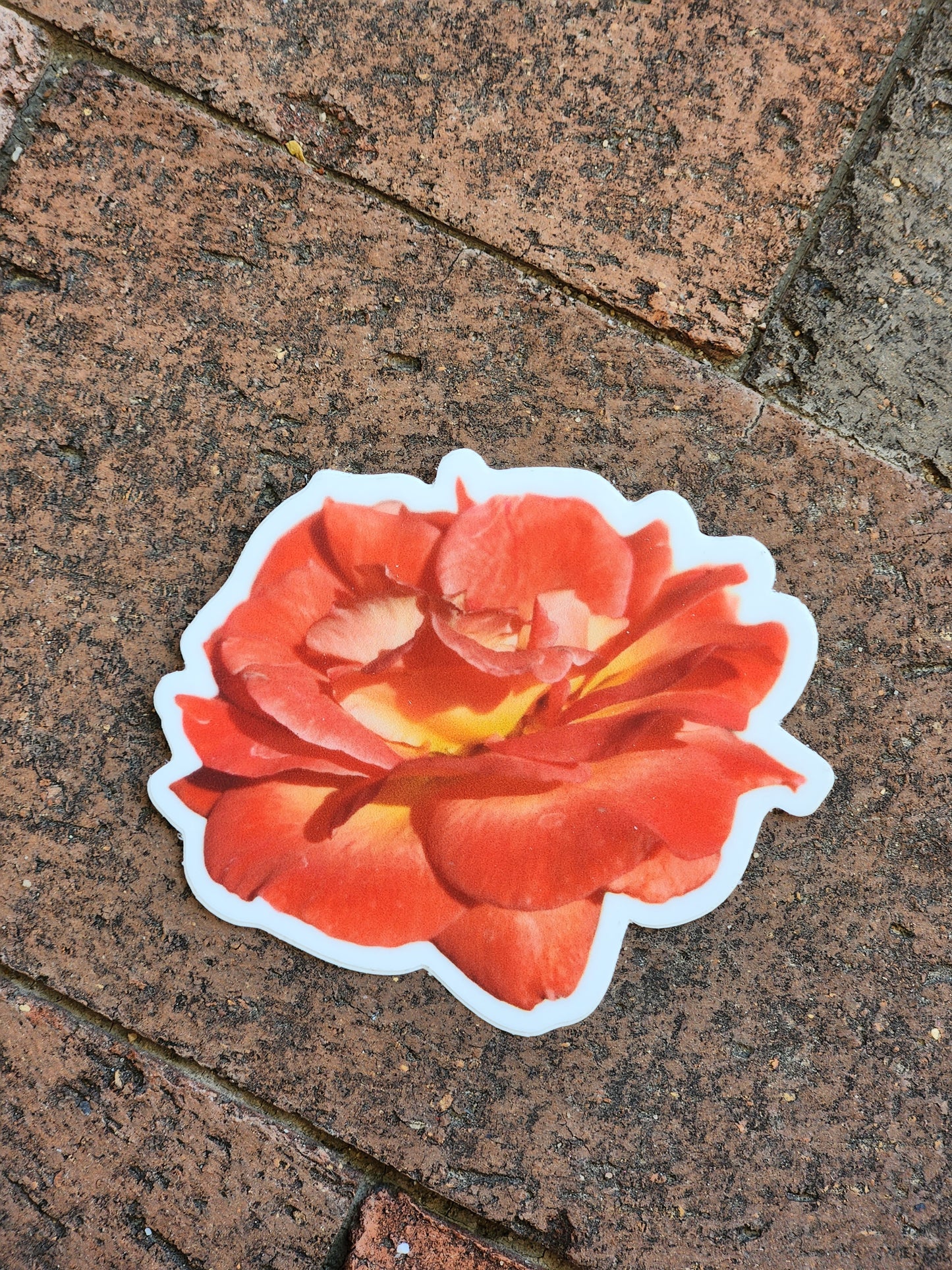 Coral Orange Rose Sticker