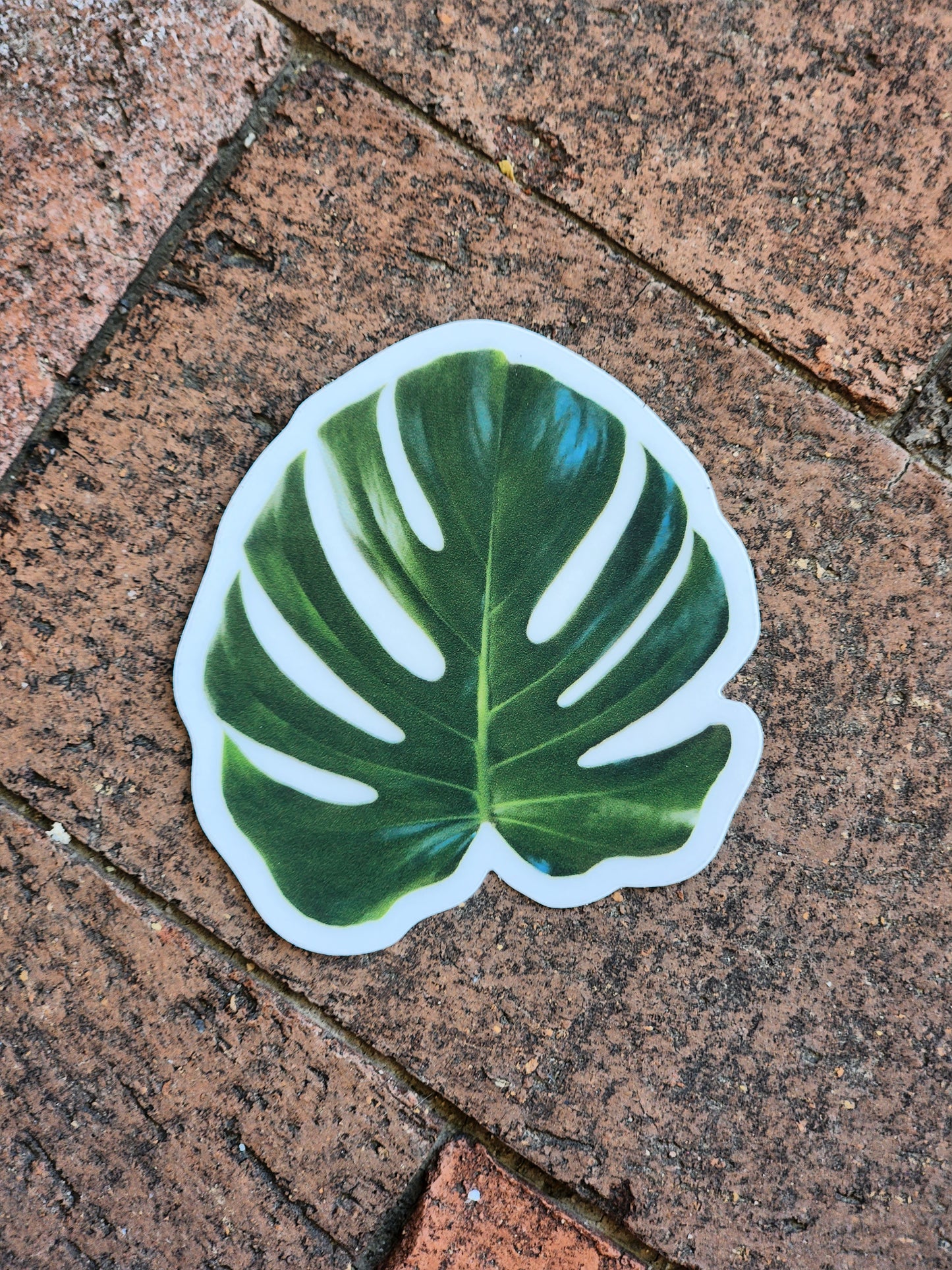 Monstera Leaf Sticker