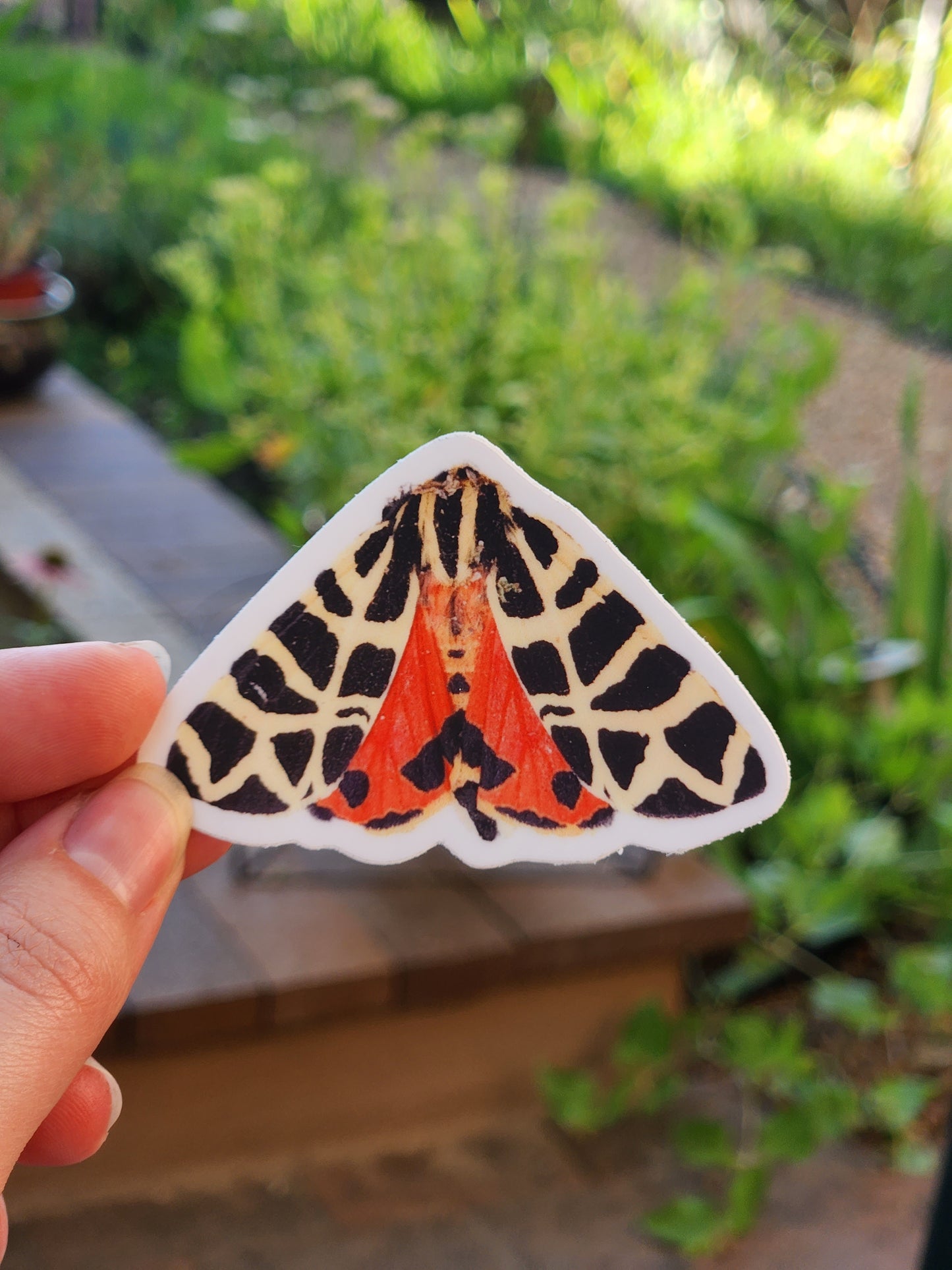 Garden Tiger Moth Sticker