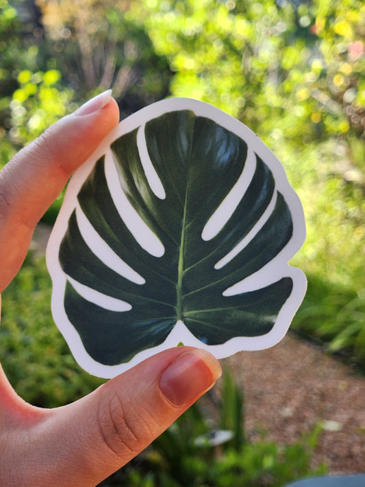 Monstera Leaf Sticker