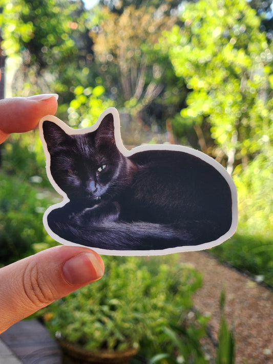 Black Cat Sticker - Bonita