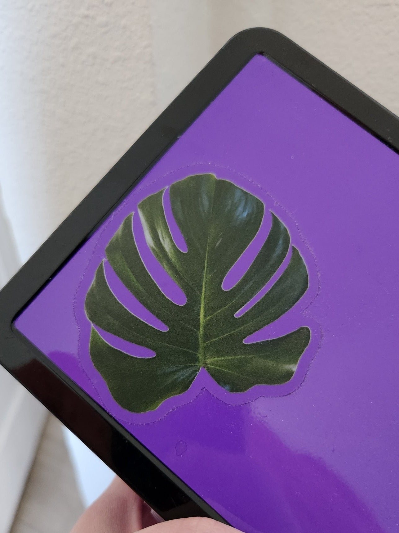 Monstera Leaf Sticker