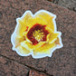 Prickly Pear Cactus Flower Sticker