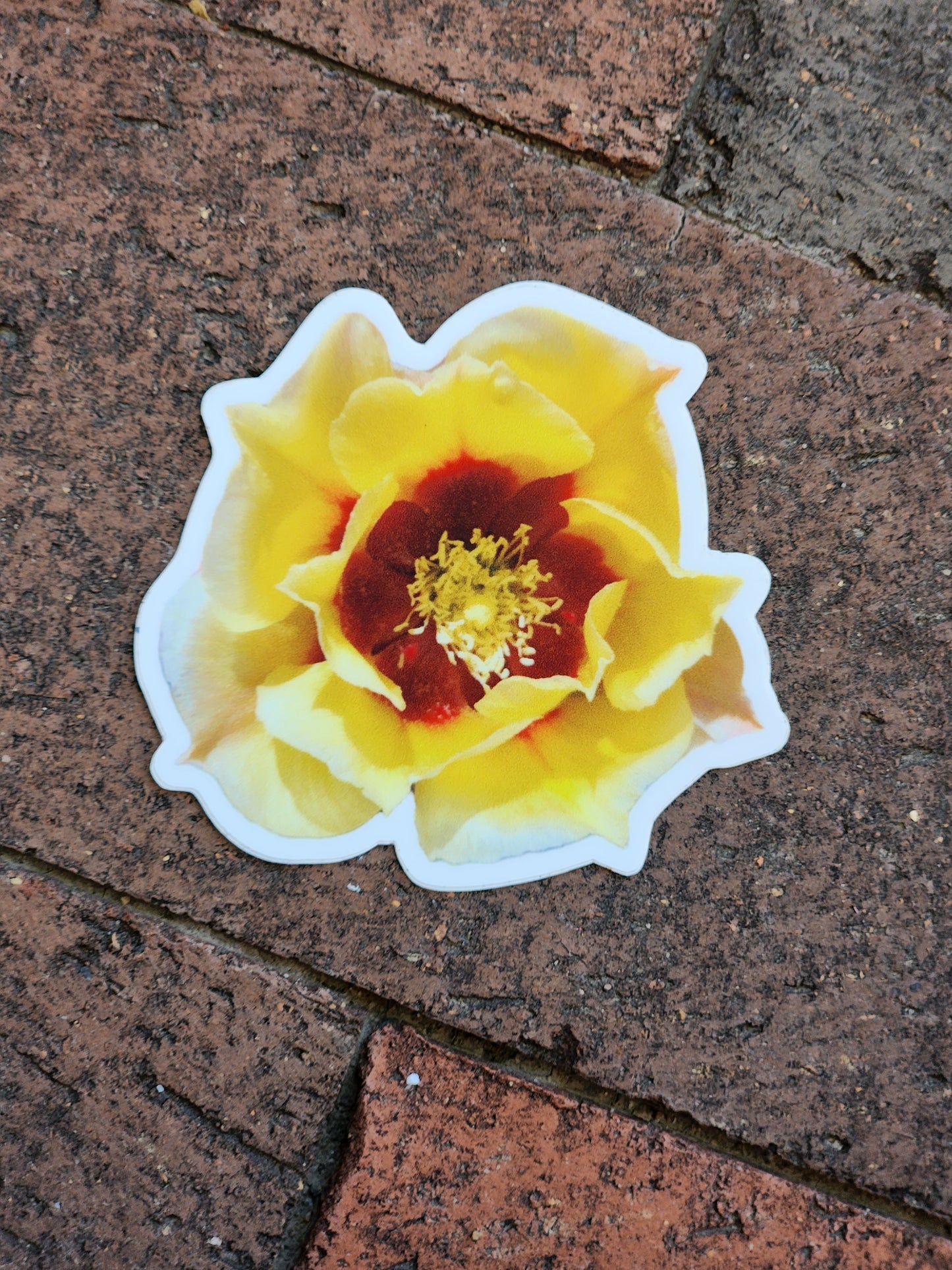 Prickly Pear Cactus Flower Sticker