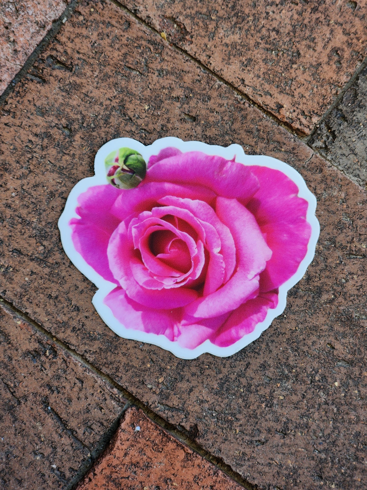 Hot Pink Rose Sticker