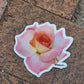 Light Pink Rose Sticker