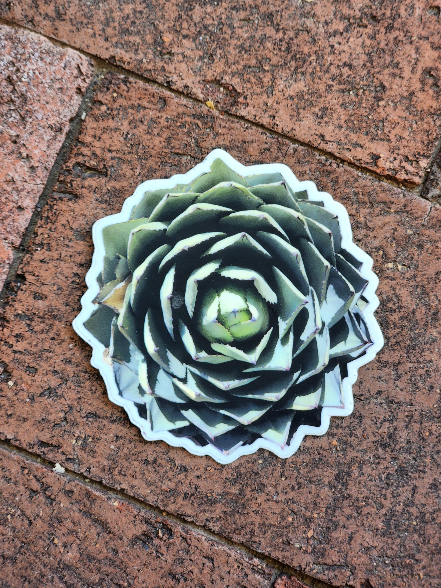 Agave Cactus Sticker