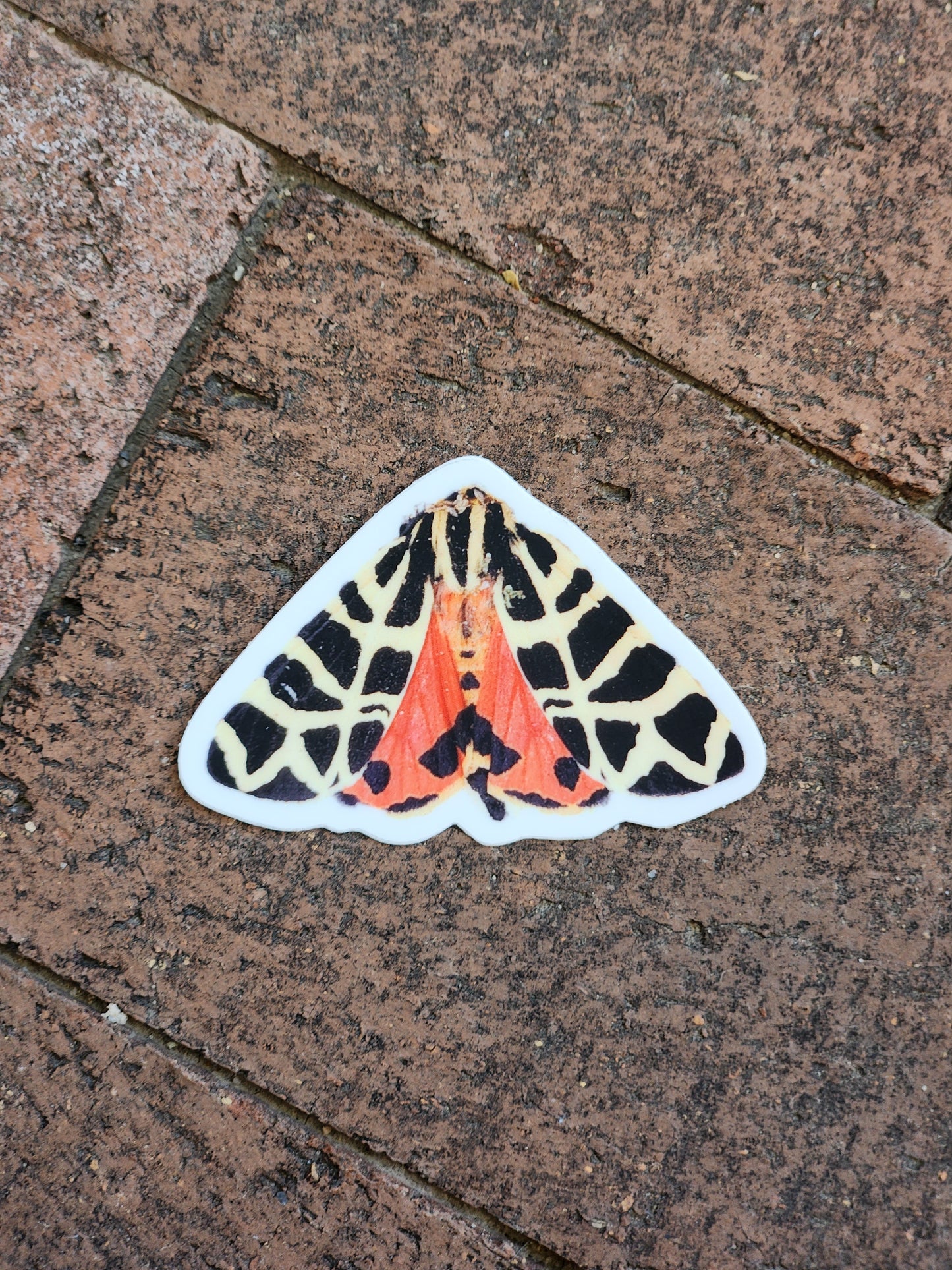 Garden Tiger Moth Sticker