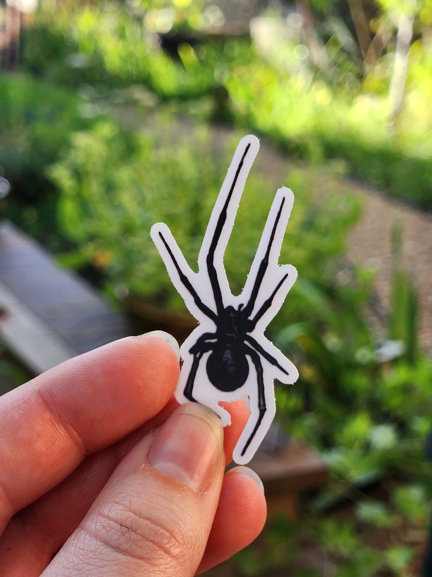 Black Widow Spider Sticker