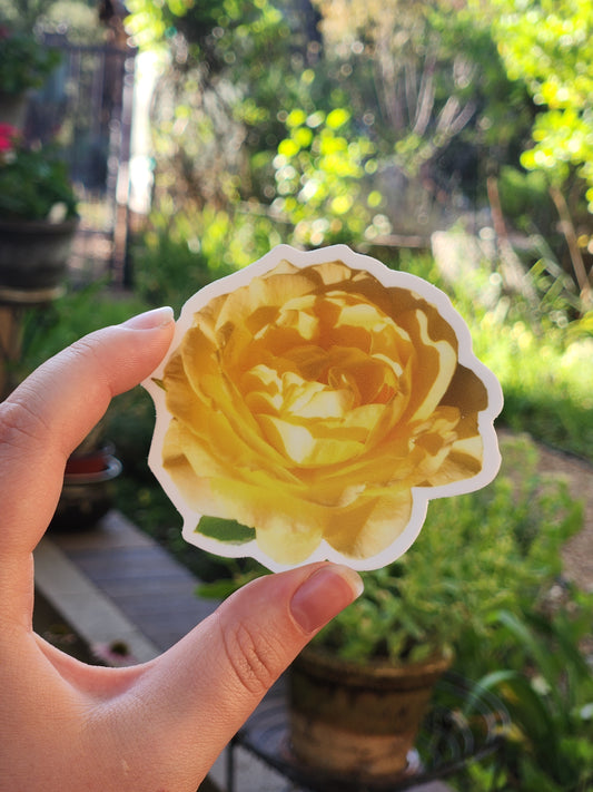 Yellow Rose Sticker