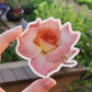 Light Pink Rose Sticker