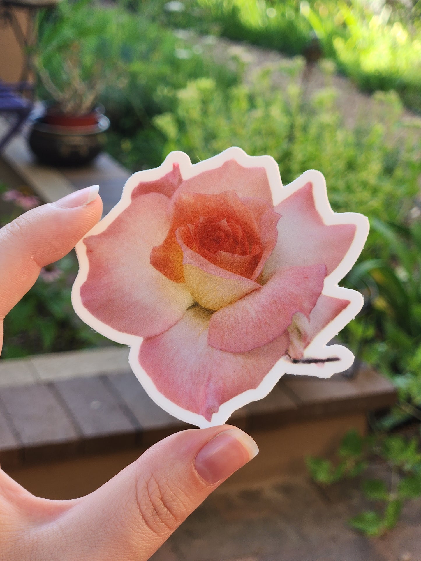 Light Pink Rose Sticker