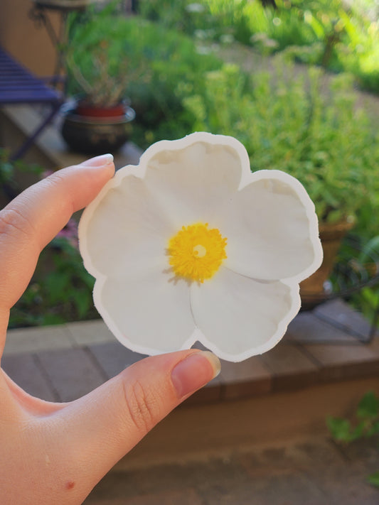 Meadow Anemone Flower Sticker