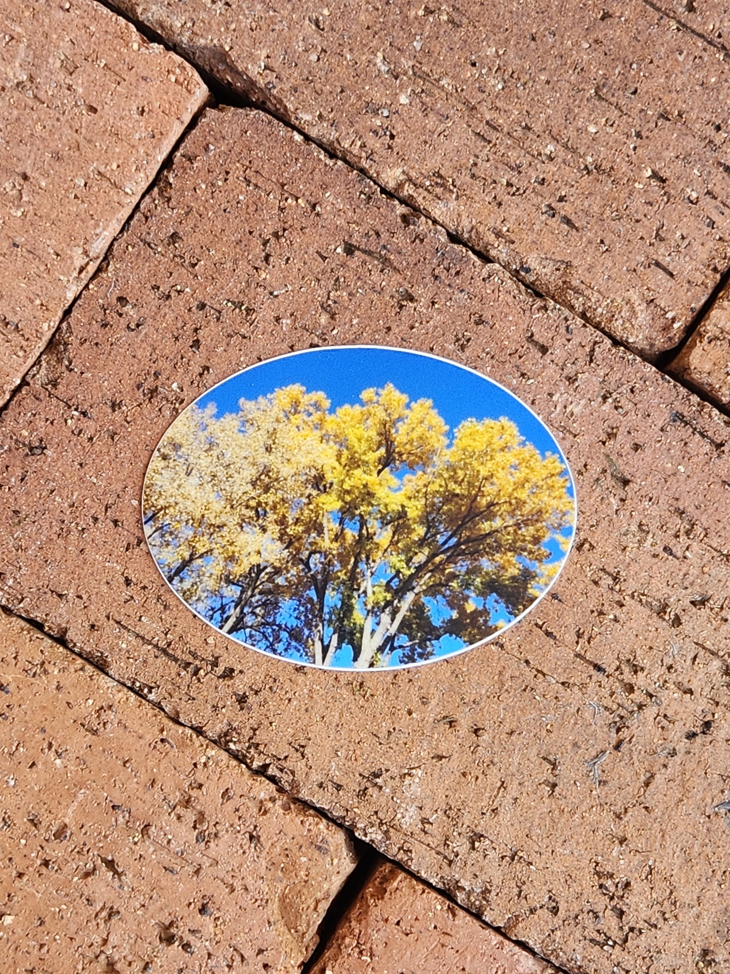 Golden Fall Sticker