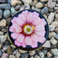 Mason Jar Straw Lid - Pink Zinnia