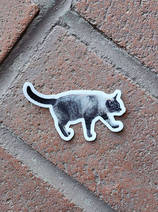 Grey Cat Sticker